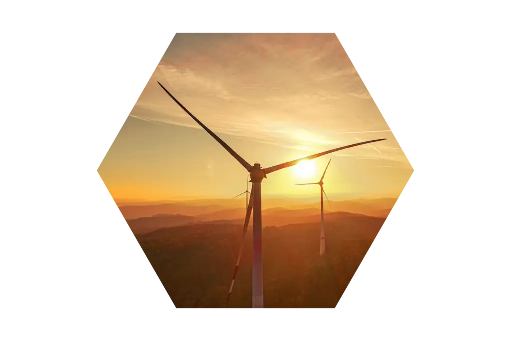 sustainability rootek